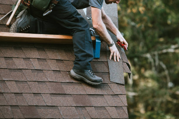 Best Roof Inspection  in USA